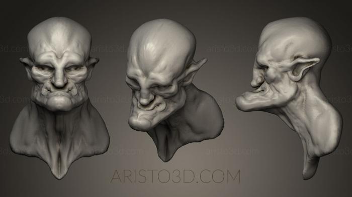 Busts of heroes and monsters (BUSTH_0250) 3D model for CNC machine